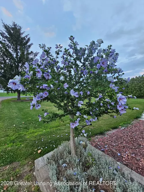 Other - 2426 E Colony Rd, Saint Johns, MI 48879 photo 10 of 17