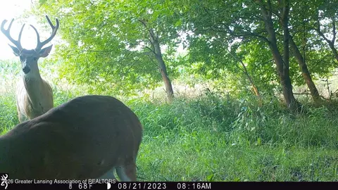 Other - 2426 E Colony Rd, Saint Johns, MI 48879 photo 11 of 17