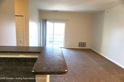 15136 Via Carmella Dr, Dewitt, MI 48820 photo 2