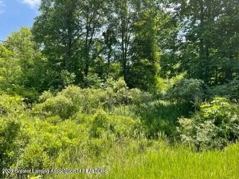 0 Woodbury Rd, Laingsburg, MI 48848