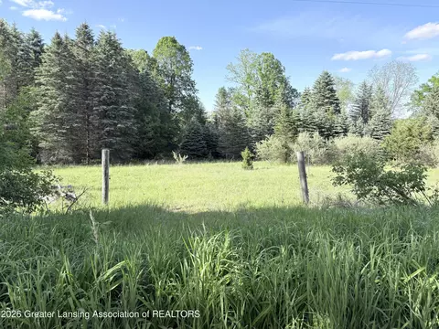 18 E Riverside Dr, Ionia, MI 48846 photo 2