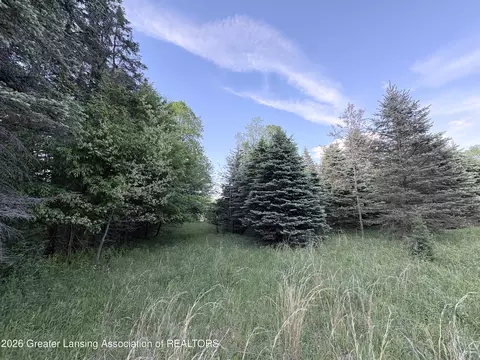 18 E Riverside Dr, Ionia, MI 48846 photo 3