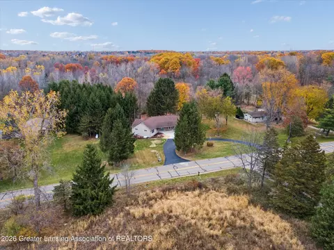 View/Area - 9103 Bridge St, Dimondale, MI 48821 photo 8 of 10