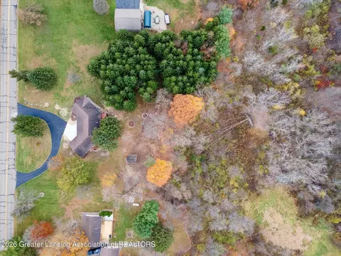 View/Area - 9103 Bridge St, Dimondale, MI 48821 photo 7 of 10