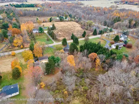 View/Area - 9103 Bridge St, Dimondale, MI 48821 photo 4 of 10