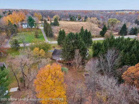 View/Area - 9103 Bridge St, Dimondale, MI 48821 photo 3 of 10
