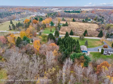 View/Area - 9103 Bridge St, Dimondale, MI 48821 photo 5 of 10