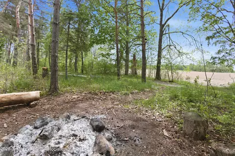 Other - 15080 S Tallman Rd, Eagle, MI 48822 photo 8 of 25