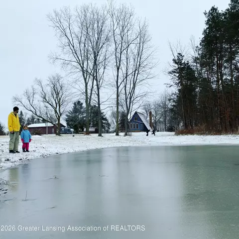Other - 15080 S Tallman Rd, Eagle, MI 48822 photo 14 of 25