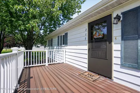 Exterior - 217 Brown St, Ithaca, MI 48847 photo 1 of 8