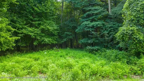 5675 Iosco Mountain Rd, Gregory, MI 48137 photo 3