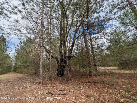 15744 Creamery Rd, Kaleva, MI 49645 photo 16