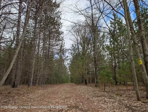 15744 Creamery Rd, Kaleva, MI 49645 photo 5