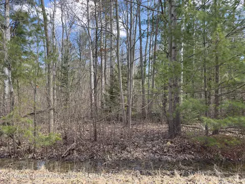Other - 137 Dennis Rd, Gladwin, MI 48624 photo 6 of 8