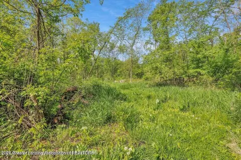 2935 Stillson Rd, Stockbridge, MI 49285