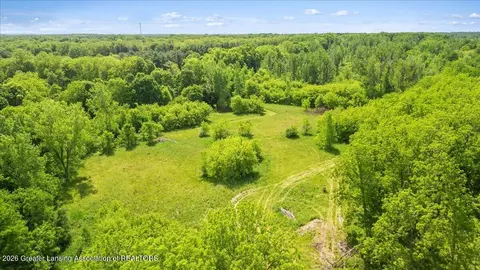 0 S Bridge St, Dimondale, MI 48821 photo 11