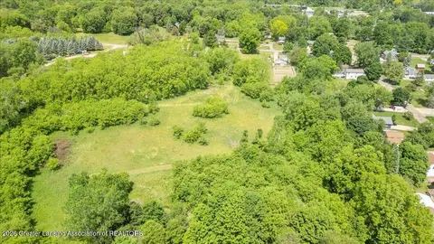 0 S Bridge St, Dimondale, MI 48821 photo 8