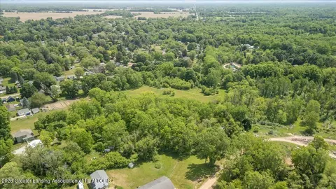 0 S Bridge St, Dimondale, MI 48821 photo 16