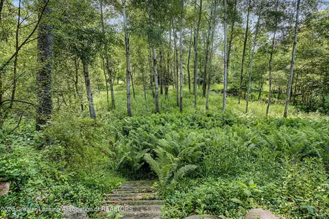 Other - 13201 Watercrest Dr, Dewitt, MI 48820 photo 13 of 14