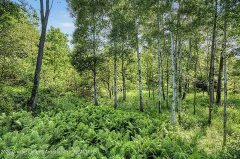 Other - 13201 Watercrest Dr, Dewitt, MI 48820 photo 12 of 14