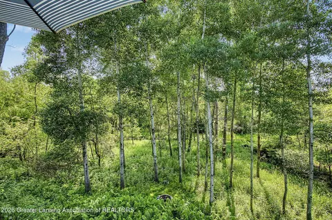 Other - 13201 Watercrest Dr, Dewitt, MI 48820 photo 14 of 14