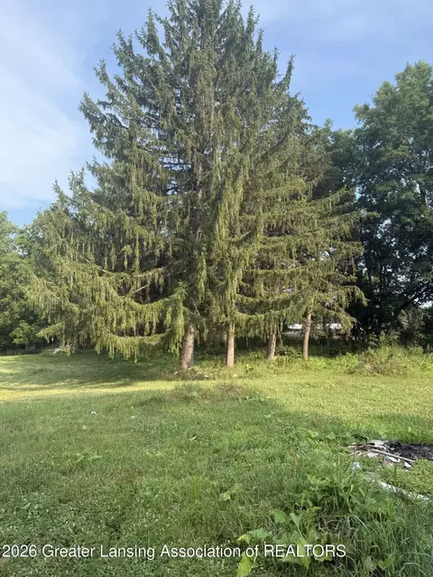 12470 Wacousta Rd, Eagle, MI 48822 photo 17