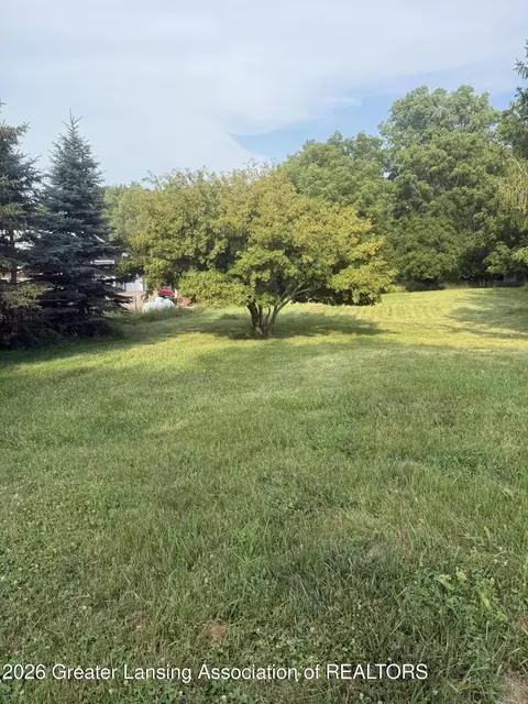 12470 Wacousta Rd, Eagle, MI 48822 photo 16