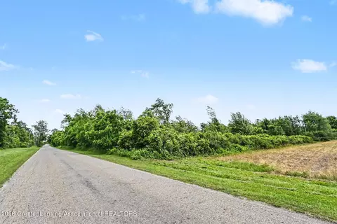 O Dons Drive, Coldwater, MI 49036 photo 4