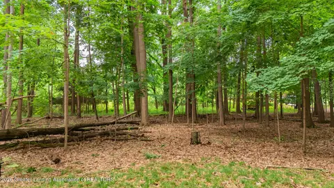 1045 N Eifert Rd, Holt, MI 48842 photo 39