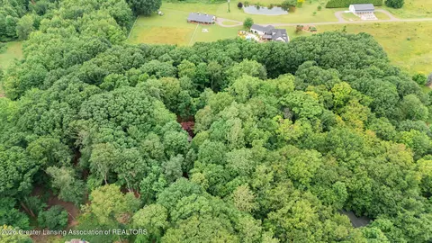 1045 N Eifert Rd, Holt, MI 48842 photo 42