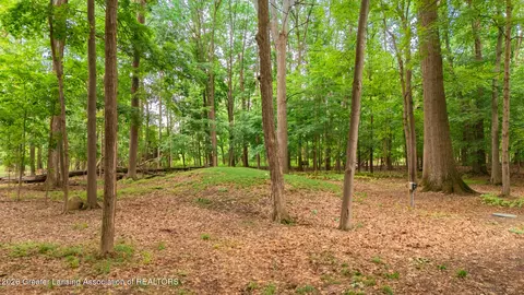 1045 N Eifert Rd, Holt, MI 48842 photo 38