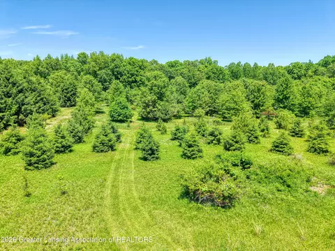 8716 Warner Rd, Haslett, MI 48840 photo 14