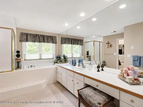 Bath - 404 W Spring Meadows Ln, Dewitt, MI 48820 photo 4 of 4
