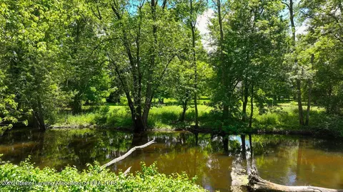 Other - 404 W Spring Meadows Ln, Dewitt, MI 48820 photo 13 of 13