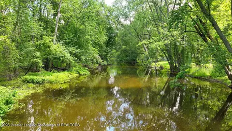 View/Area - 404 W Spring Meadows Ln, Dewitt, MI 48820 photo 3 of 5
