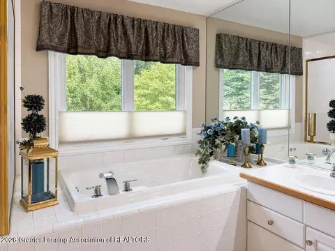 Bath - 404 W Spring Meadows Ln, Dewitt, MI 48820 photo 3 of 4