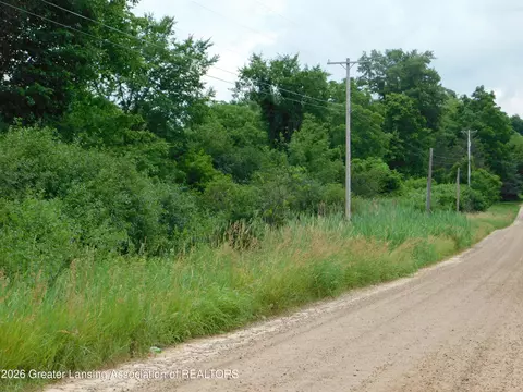 0 Robson Rd, Bath, MI 48808 photo 16