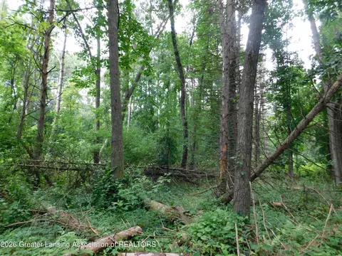 0 Robson Rd, Bath, MI 48808 photo 7