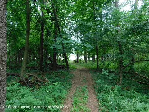 0 Robson Rd, Bath, MI 48808 photo 4