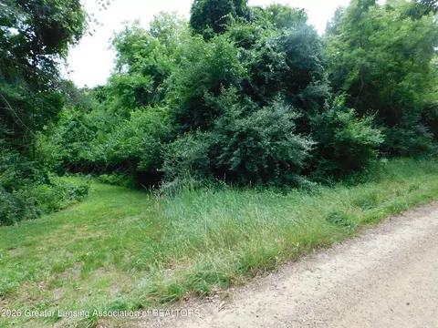 0 Robson Rd, Bath, MI 48808 photo 9
