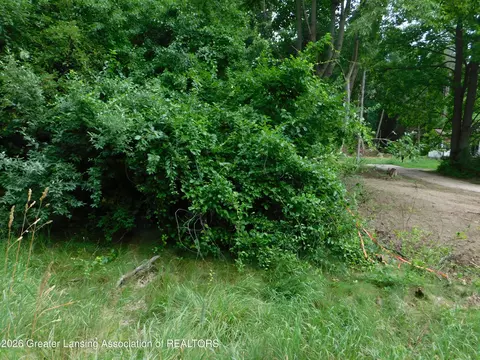 0 Robson Rd, Bath, MI 48808 photo 11