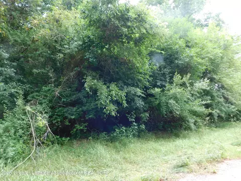 0 Robson Rd, Bath, MI 48808 photo 10
