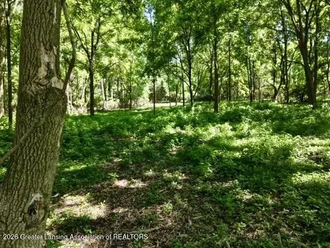 0 E State Rd, Lansing, MI 48906 photo 6