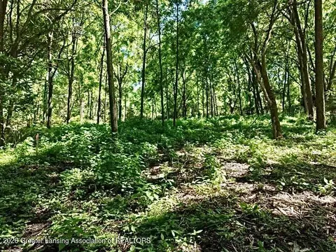 0 E State Rd, Lansing, MI 48906 photo 14