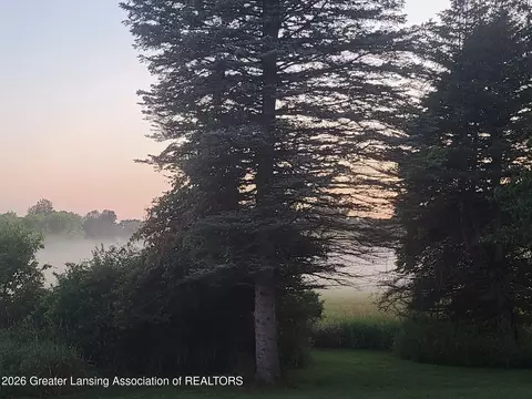 Other - 12196 Center Rd, Bath, MI 48808 photo 21 of 31