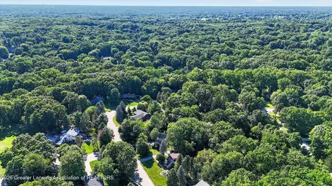 View/Area - 201 Ruby Way, Williamston, MI 48895 photo 4 of 6