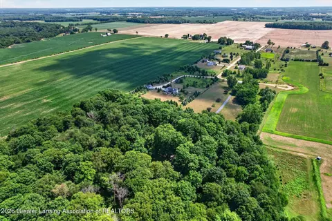 View/Area - 12674 Sunsdown Ln, Sunfield, MI 48890 photo 5 of 6