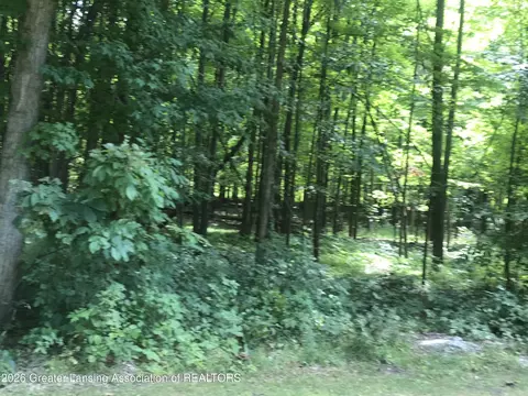 V/l #10 Brookshire Drive, Chesaning, MI 48616