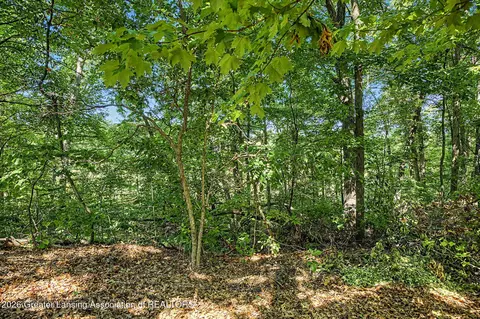 Other - 2047 Arbor Meadows Dr, Dewitt, MI 48820 photo 15 of 15