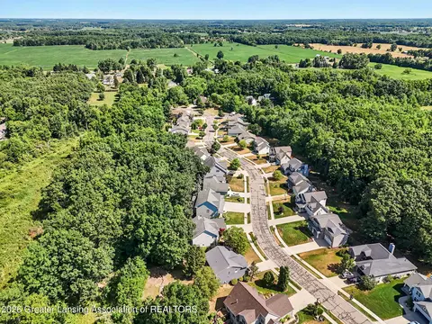 View/Area - 2047 Arbor Meadows Dr, Dewitt, MI 48820 photo 3 of 7